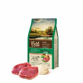 Sam's Field Low Grain Junior Large Lamb - Free Range, superprémiové granule pro štěňata a mladé psy velkých plemen s jehněčím z volného chovu, 2,5 kg (Sams Field bez pšenice)