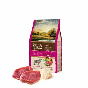 Sam's Field Low Grain Adult Large Lamb - Free Range, superprémiové granule pro dospělé psy velkých a obřích plemen s jehněčím z volného chovu, 2,5 kg (Sams Field bez pšenice)