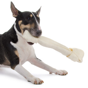 Bílý uzel z buvolí kůže XXXL, extra velký, 50 cm, přírodní pamlsek