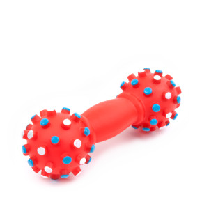 Vinylová činka s bodlinami, pískací hračka pro psy, 16 cm, ideální pro aktivní hru